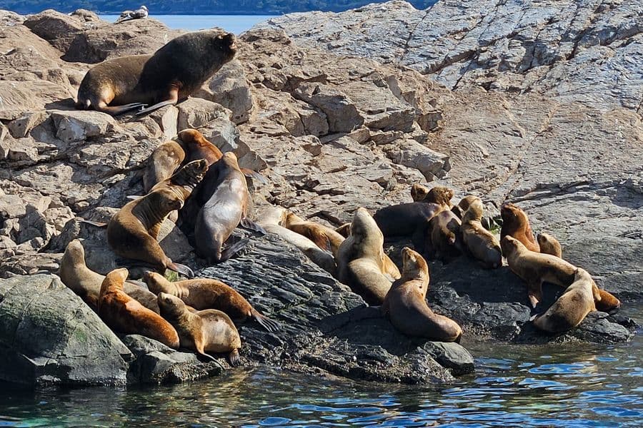 Galeria da expedição Ushuaia: O Último Horizonte