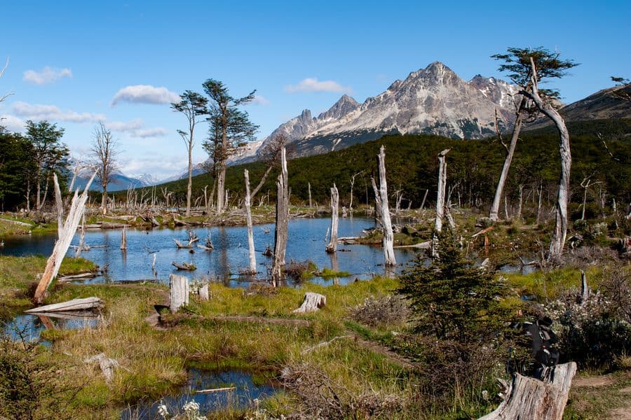 Galeria da expedição Ushuaia: O Último Horizonte
